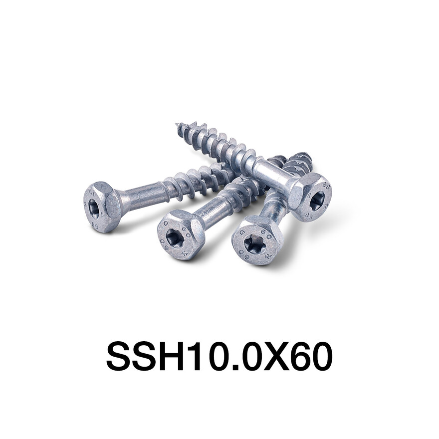 SSH10.0X60 screws